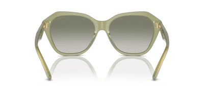 Emporio Armani EA4221 Shiny Opaline Green/Green Gradient #colour_shiny-opaline-green-green-gradient