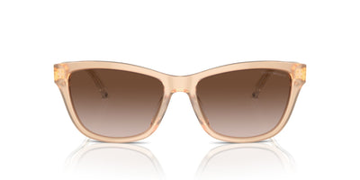 Emporio Armani EA4227U Shiny Opaline Tundra/Brown Gradient #colour_shiny-opaline-tundra-brown-gradient