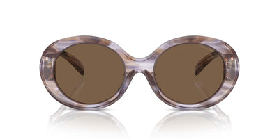 Emporio Armani EA4231U Striped Brown/Dark Brown #colour_striped-brown-dark-brown