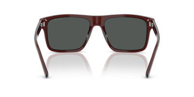 Emporio Armani EA4232 Transparent Brown/Smoke #colour_transparent-brown-smoke