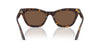 Emporio Armani EA4259U Shiny Havana/Brown #colour_shiny-havana-brown