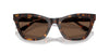 Emporio Armani EA4259U Shiny Havana/Brown #colour_shiny-havana-brown
