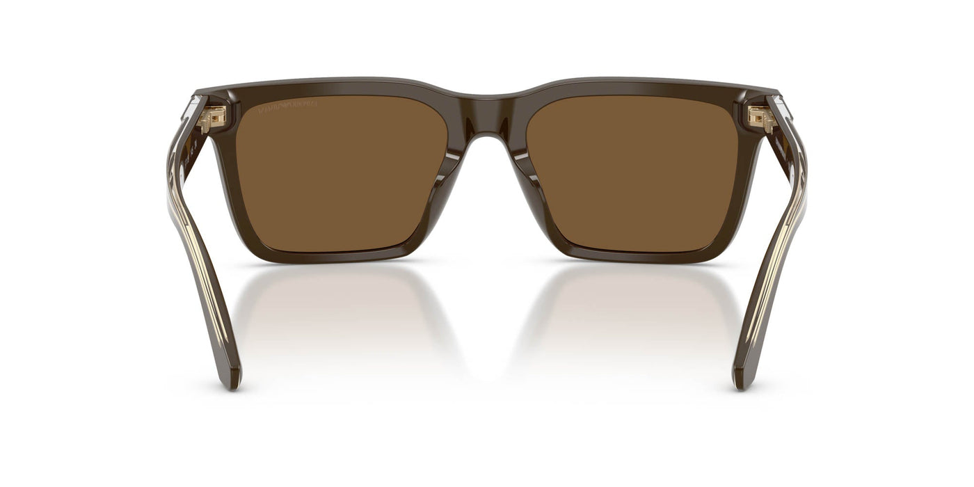Emporio Armani EA4262U Shiny Brown/Brown #colour_shiny-brown-brown