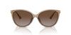 Michael Kors Dupont MK2184U Brown Transparent/Brown Polarised #colour_brown-transparent-brown-polarised