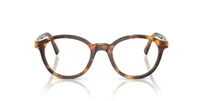 Miu Miu VMU02W Honey Havana #colour_honey-havana