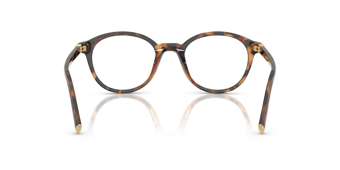 Miu Miu VMU02W Havana Ivy #colour_havana-ivy