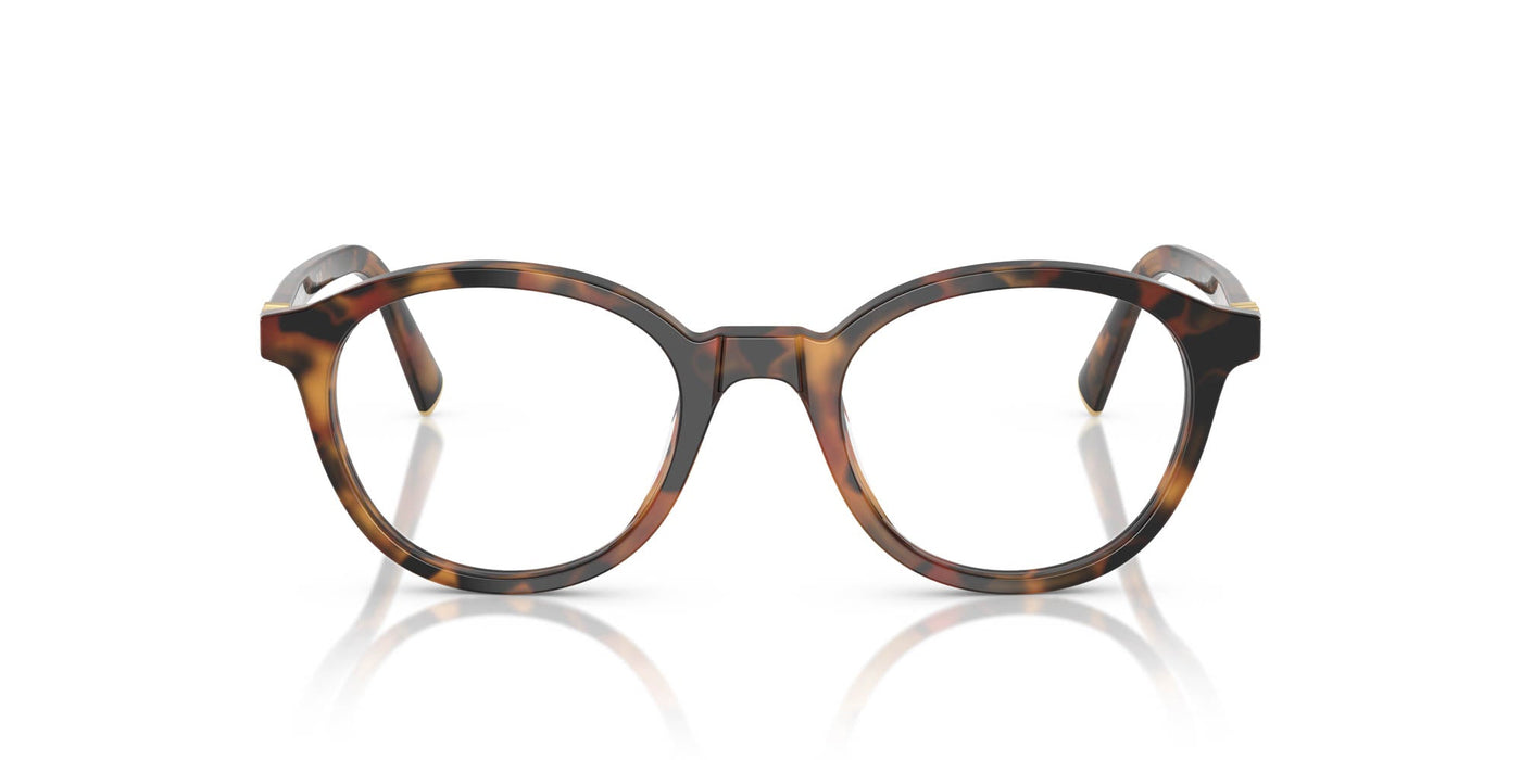 Miu Miu VMU02W Havana Ivy #colour_havana-ivy