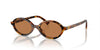 Miu Miu SMU04Z Light Havana/Brown #colour_light-havana-brown