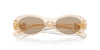 Miu Miu SMU06Z Sand Transparent/Dark Brown #colour_sand-transparent-dark-brown