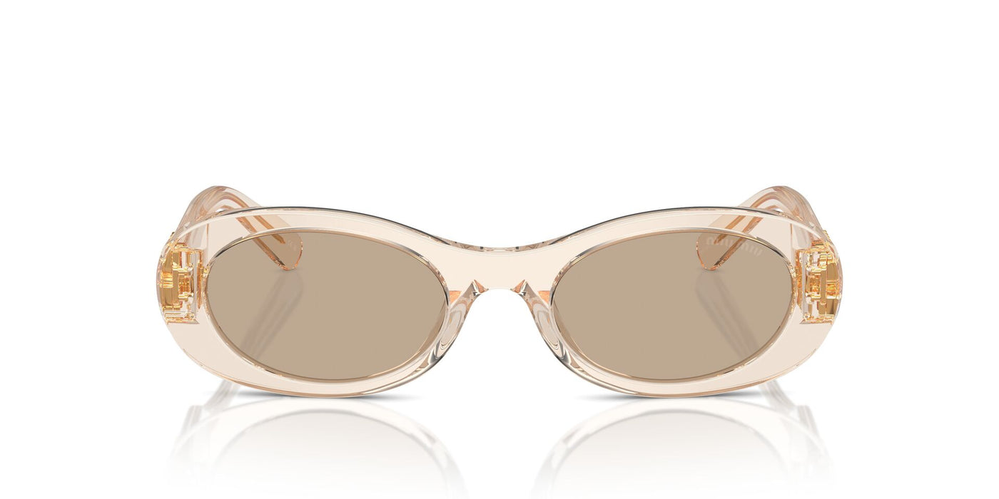 Miu Miu SMU06Z Sand Transparent/Dark Brown #colour_sand-transparent-dark-brown