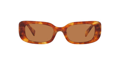 Miu Miu SMU08Y Light Havana/Brown #colour_light-havana-brown