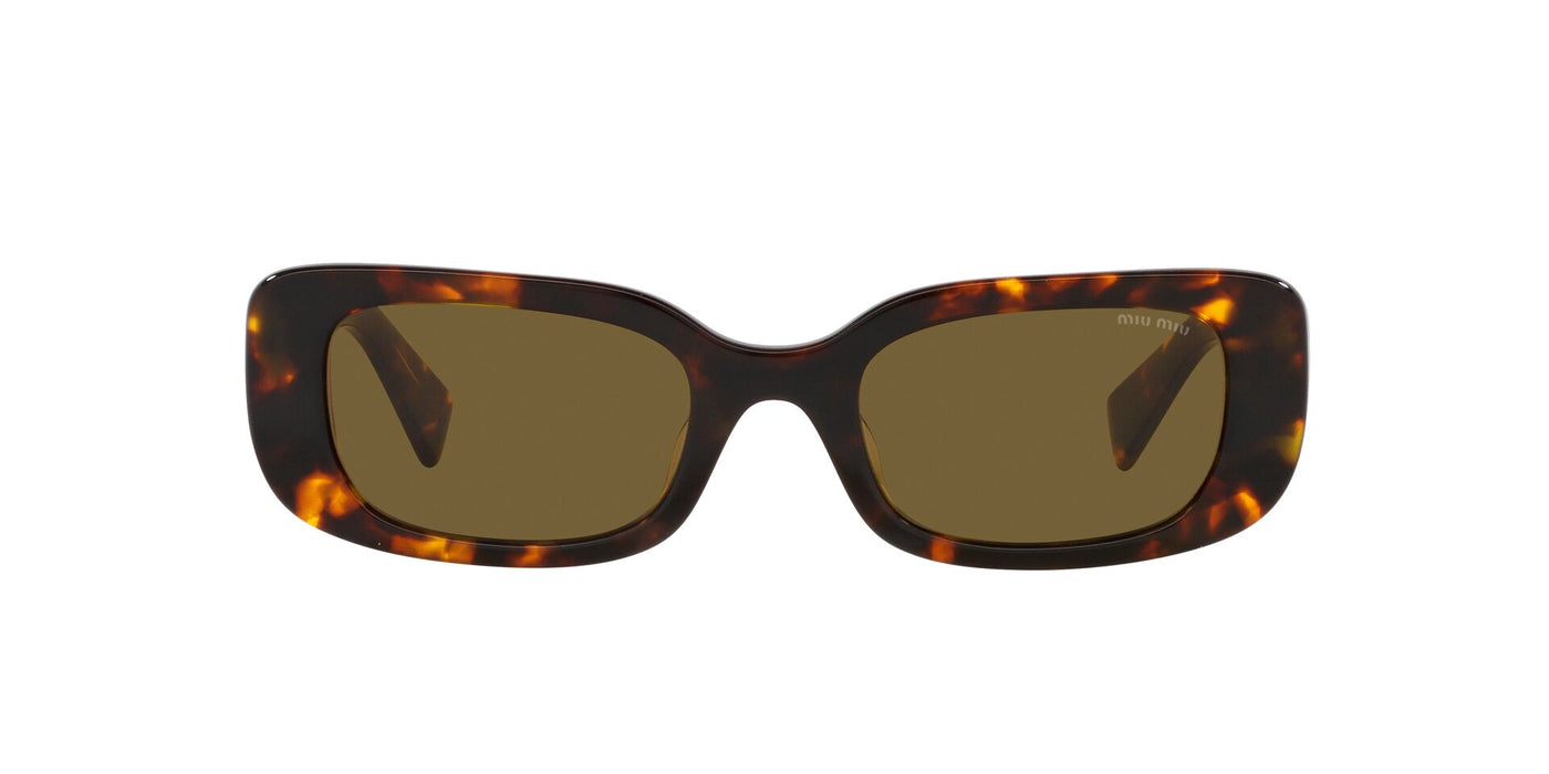 Miu Miu SMU08Y Honey Havana/Dark Brown #colour_honey-havana-dark-brown