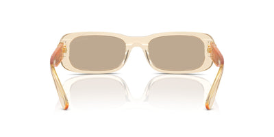 Miu Miu SMU08Z Sand Transparent/Dark Brown #colour_sand-transparent-dark-brown