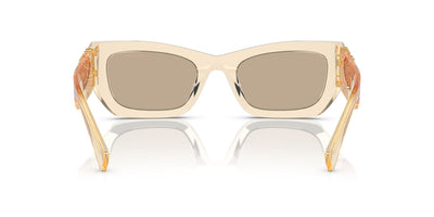 Miu Miu SMU09W Sand Transparent/Dark Brown #colour_sand-transparent-dark-brown