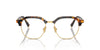Miu Miu VMU10X Honey Havana #colour_honey-havana