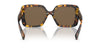 Miu Miu SMU10Y Honey Havana/Dark Brown #colour_honey-havana-dark-brown