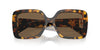 Miu Miu SMU10Y Honey Havana/Dark Brown #colour_honey-havana-dark-brown