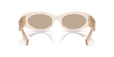 Miu Miu SMU11W Sand Transparent/Dark Brown #colour_sand-transparent-dark-brown