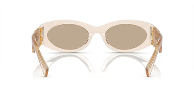 Miu Miu SMU11W Sand Transparent/Dark Brown #colour_sand-transparent-dark-brown