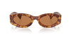 Miu Miu SMU11W Havana/Brown #colour_havana-brown