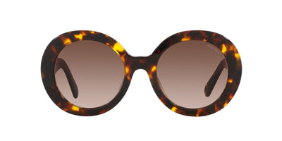 Miu Miu SMU11Y Honey Havana/Brown Gradient #colour_honey-havana-brown-gradient