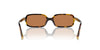 Miu Miu SMU11Z Honey Havana/Brown #colour_honey-havana-brown