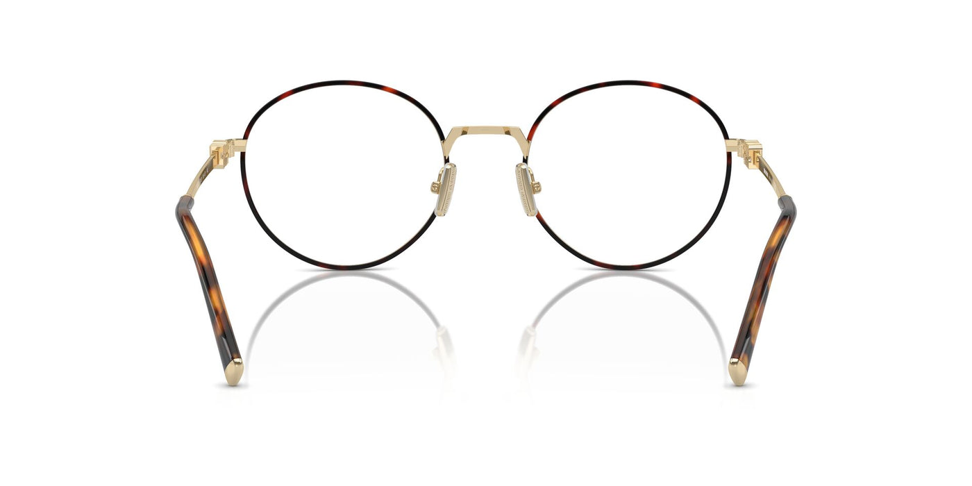 Miu Miu VMU52X Honey Havana #colour_honey-havana
