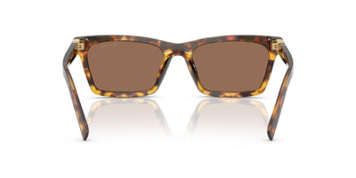 Miu Miu SMU A05 Honey Havana/Dark Brown #colour_honey-havana-dark-brown