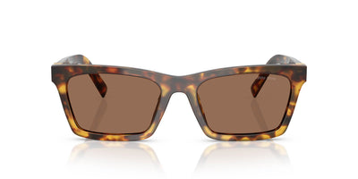 Miu Miu SMU A05 Honey Havana/Dark Brown #colour_honey-havana-dark-brown