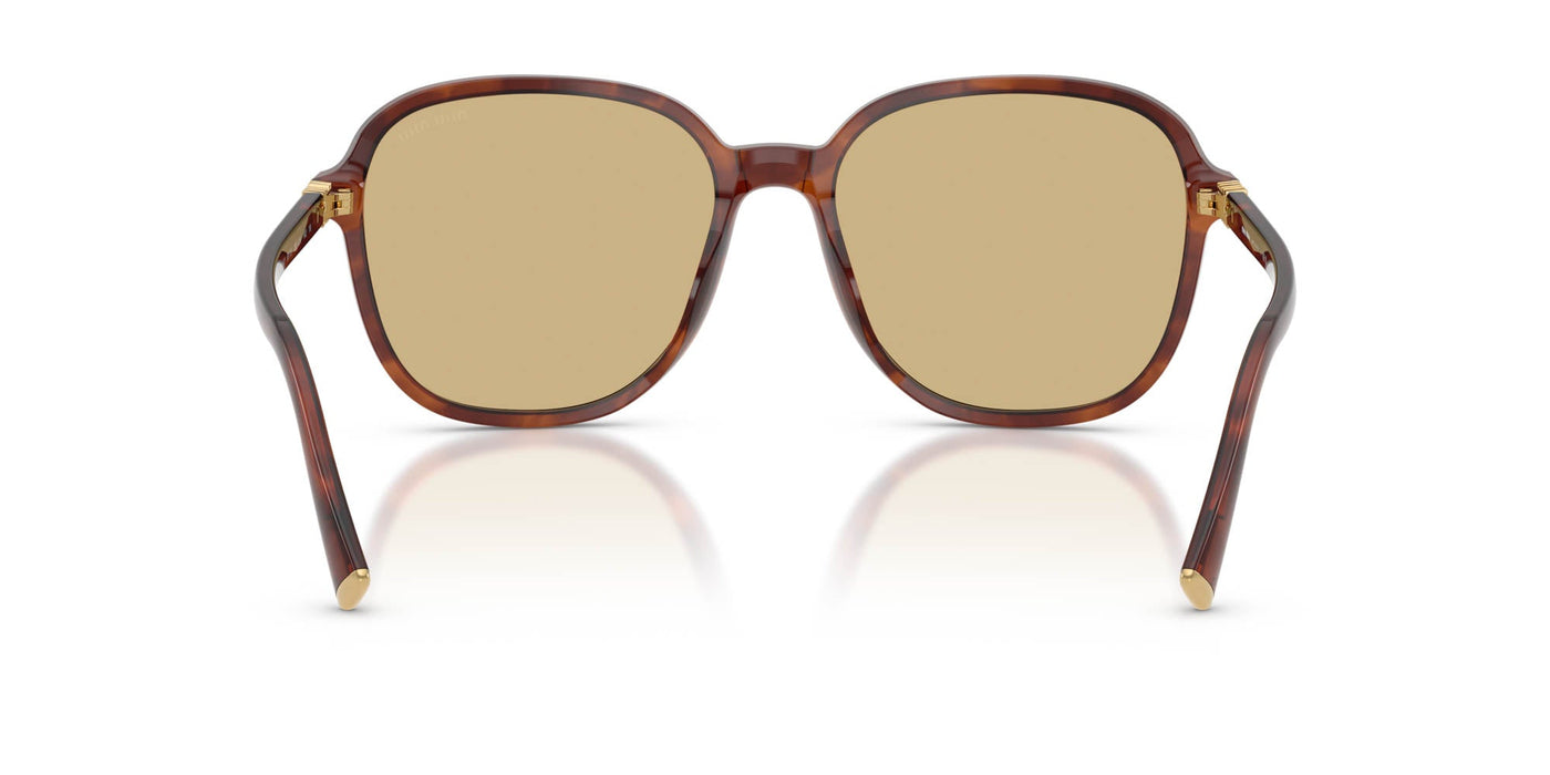 Miu Miu SMU B01 Striped Tobacco/Yellow #colour_striped-tobacco-yellow