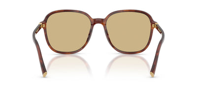 Miu Miu SMU B01 Striped Tobacco/Yellow #colour_striped-tobacco-yellow