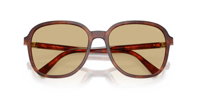 Miu Miu SMU B01 Striped Tobacco/Yellow #colour_striped-tobacco-yellow
