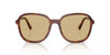 Miu Miu SMU B01 Striped Tobacco/Yellow #colour_striped-tobacco-yellow