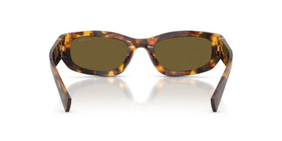 Miu Miu SMU B04 Havana Honey/Dark Brown #colour_havana-honey-dark-brown
