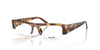 Miu Miu SMU B07 Honey Havana #colour_honey-havana