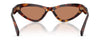 #colour_havana-brown