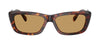 #colour_havana-brown