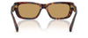 #colour_havana-brown