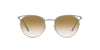 #colour_brushed-silver-honey-gradient