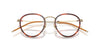 Oliver Peoples TK-11 OV1360T Gold-Tuscany Tortoise #colour_gold-tuscany-tortoise