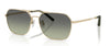 #colour_brushed-gold-forest-gradient
