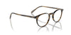 Oliver Peoples Riley-R OV5004 Olive Smoke #colour_olive-smoke