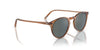 Oliver Peoples O'malley SUN OV5183S Carob/Regal Blue #colour_carob-regal-blue