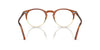 Oliver Peoples O'Malley OV5183 Amber Vsb #colour_amber-vsb