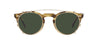 #colour_gold-g-15-polarised