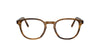 Oliver Peoples Fairmont OV5219 Raintree #colour_raintree