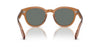 Oliver Peoples Cary Grant OV5413SU Carob/Regal Blue #colour_carob-regal-blue