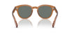 Oliver Peoples Cary Grant OV5413SU Carob/Regal Blue #colour_carob-regal-blue