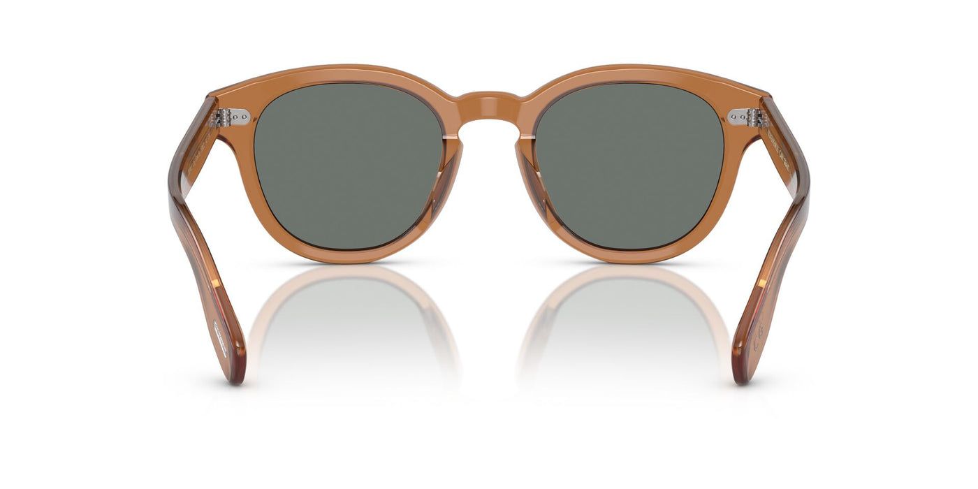 Oliver Peoples Cary Grant OV5413SU Carob/Regal Blue #colour_carob-regal-blue