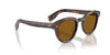 Oliver Peoples Cary Grant Sun OV5413SU DTB/True Brown #colour_dtb-true-brown